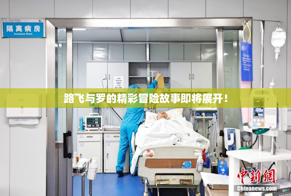 路飞与罗的精彩冒险故事即将展开！