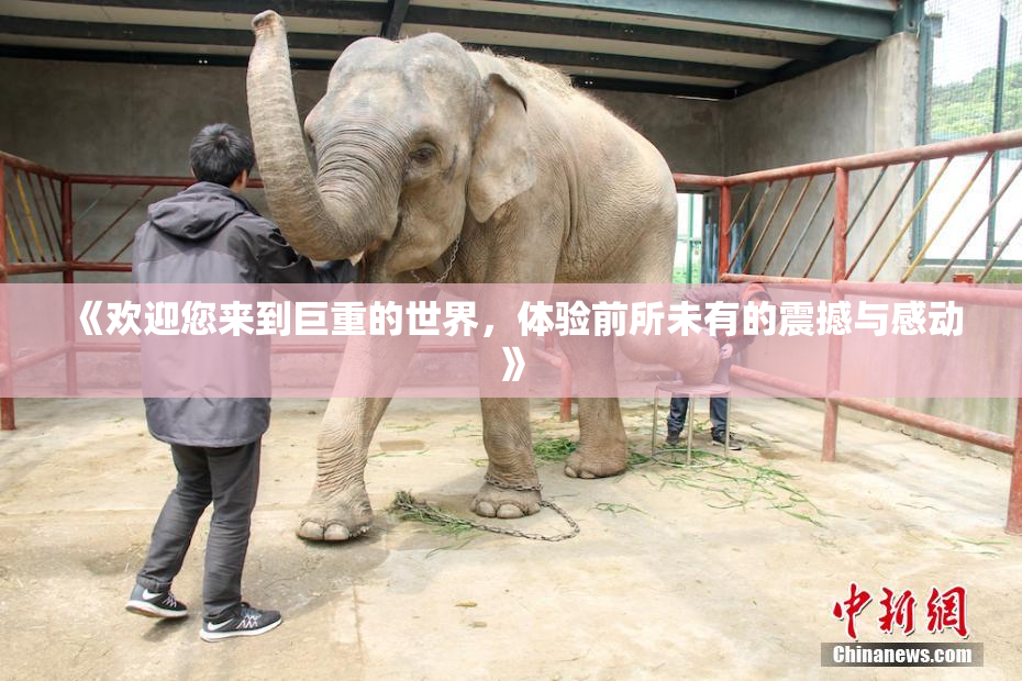《欢迎您来到巨重的世界，体验前所未有的震撼与感动》