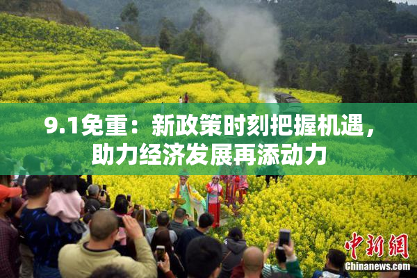 9.1免重：新政策时刻把握机遇，助力经济发展再添动力