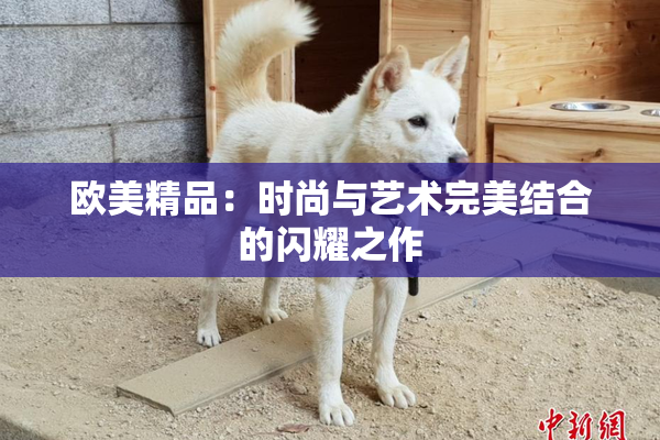 欧美精品：时尚与艺术完美结合的闪耀之作