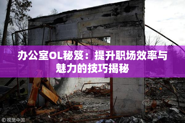 办公室OL秘笈：提升职场效率与魅力的技巧揭秘
