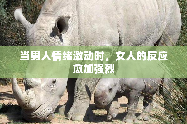 当男人情绪激动时，女人的反应愈加强烈