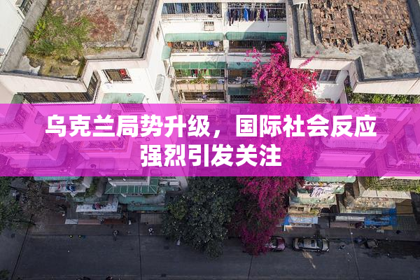 乌克兰局势升级，国际社会反应强烈引发关注