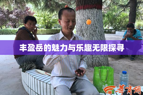 丰盈岳的魅力与乐趣无限探寻