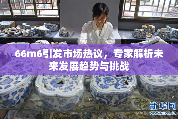 66m6引发市场热议，专家解析未来发展趋势与挑战