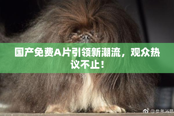 国产免费A片引领新潮流，观众热议不止！