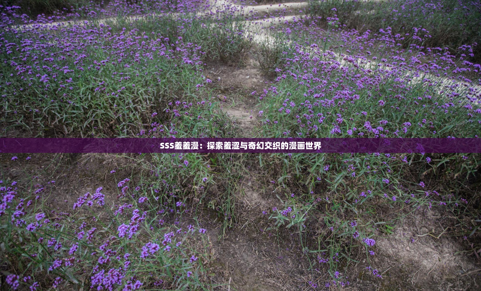 SSS羞羞漫：探索羞涩与奇幻交织的漫画世界