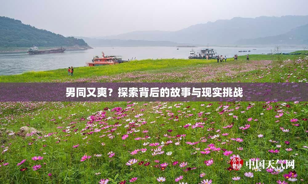 男同又爽？探索背后的故事与现实挑战