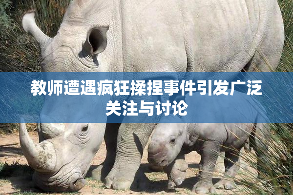教师遭遇疯狂揉捏事件引发广泛关注与讨论
