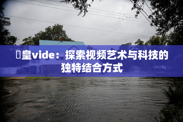 嘼皇vide：探索视频艺术与科技的独特结合方式