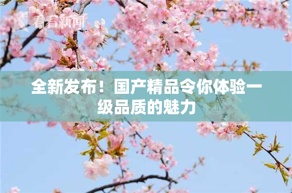 全新发布！国产精品令你体验一级品质的魅力