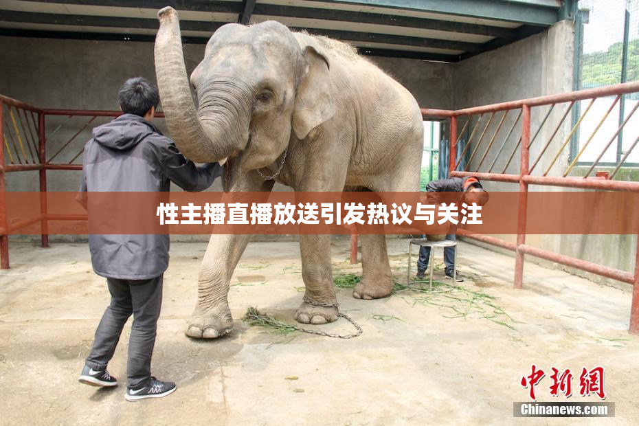 性主播直播放送引发热议与关注