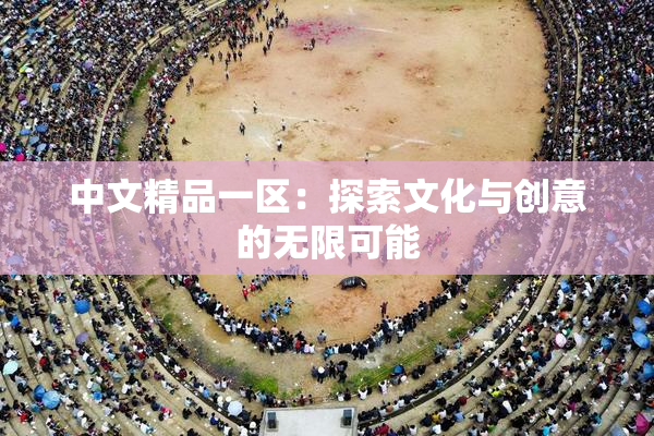 中文精品一区：探索文化与创意的无限可能