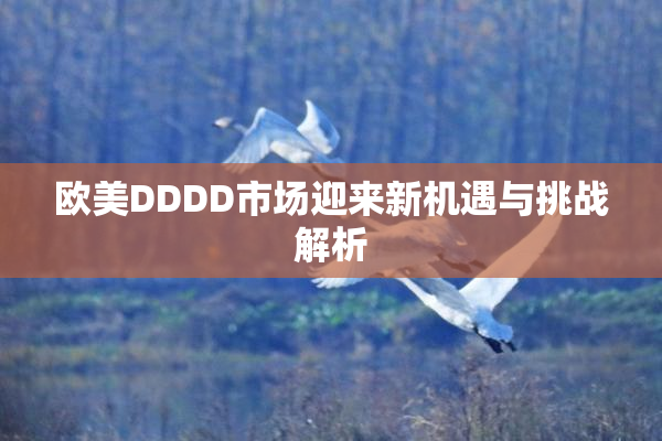欧美DDDD市场迎来新机遇与挑战解析