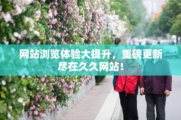 网站浏览体验大提升，重磅更新尽在久久网站！