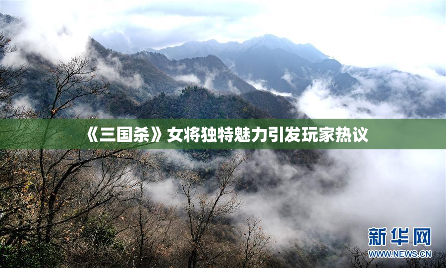 《三国杀》女将独特魅力引发玩家热议