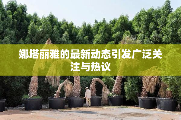 娜塔丽雅的最新动态引发广泛关注与热议