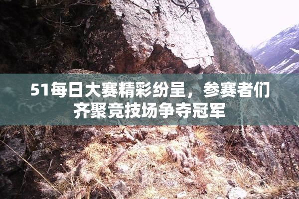 51每日大赛精彩纷呈，参赛者们齐聚竞技场争夺冠军