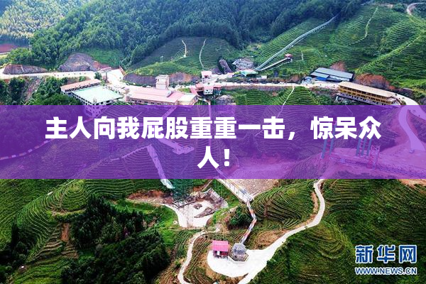 主人向我屁股重重一击，惊呆众人！