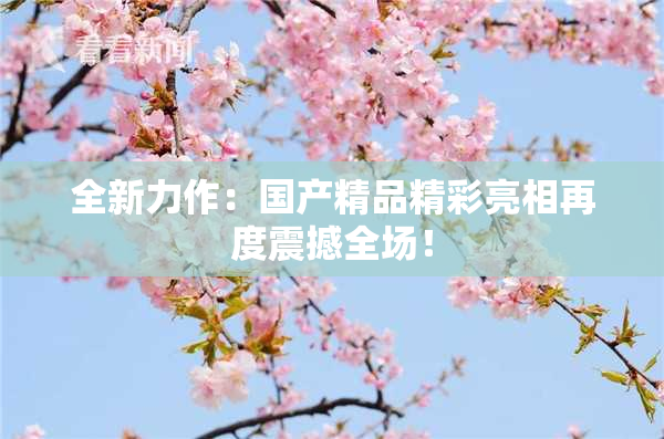 全新力作：国产精品精彩亮相再度震撼全场！