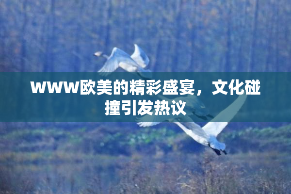 WWW欧美的精彩盛宴，文化碰撞引发热议