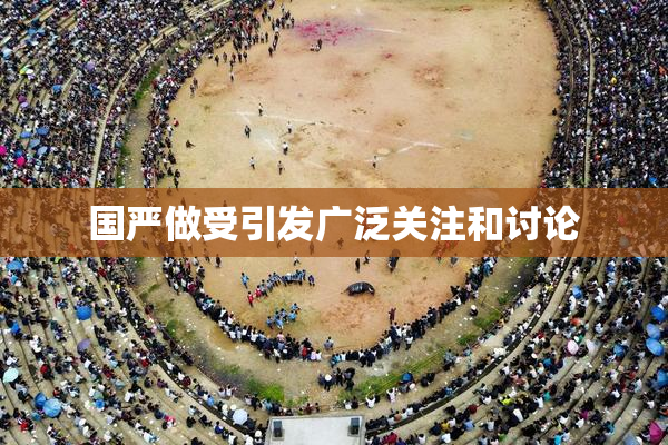 国严做受引发广泛关注和讨论