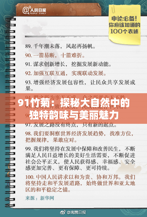 91竹菊：探秘大自然中的独特韵味与美丽魅力