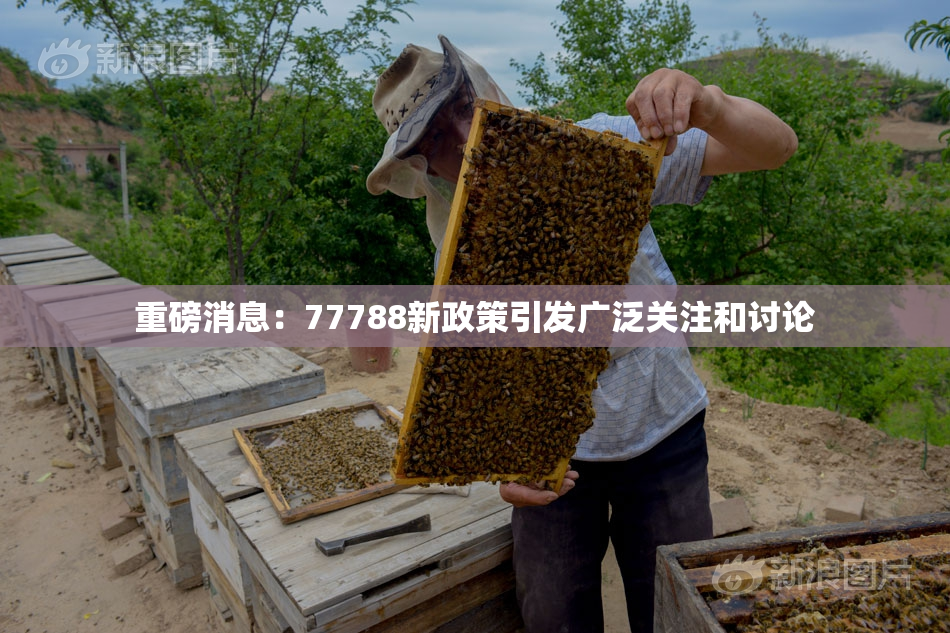 重磅消息：77788新政策引发广泛关注和讨论