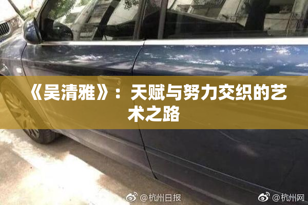 《吴清雅》：天赋与努力交织的艺术之路