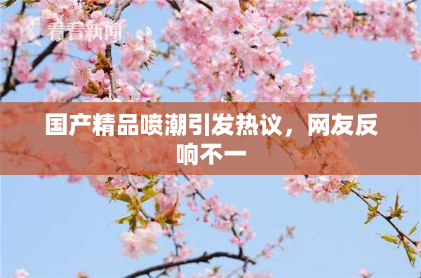 国产精品喷潮引发热议，网友反响不一