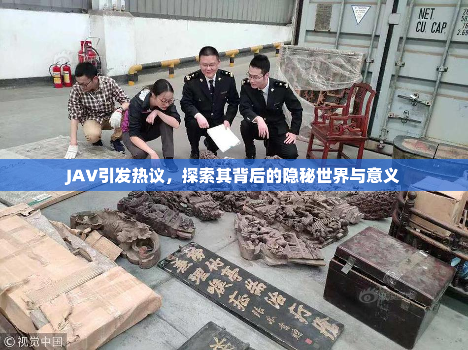 JAV引发热议，探索其背后的隐秘世界与意义