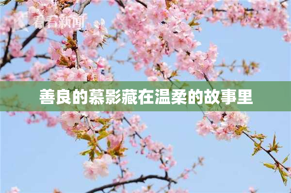 善良的慕影藏在温柔的故事里
