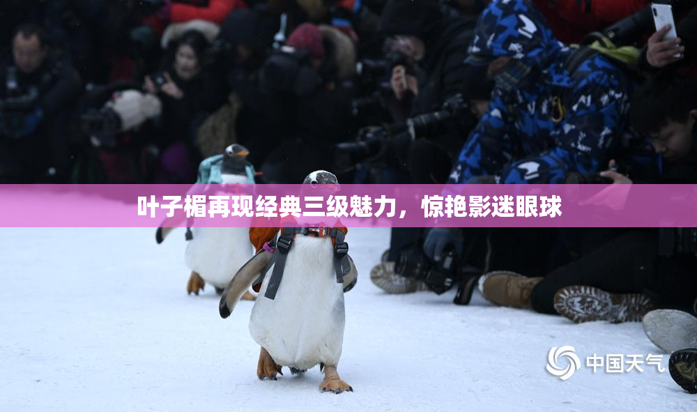 叶子楣再现经典三级魅力，惊艳影迷眼球