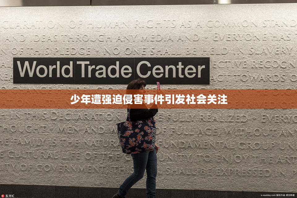 少年遭强迫侵害事件引发社会关注