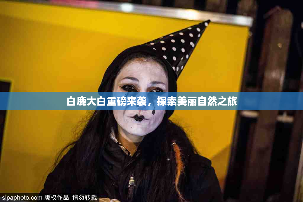 白鹿大白重磅来袭，探索美丽自然之旅