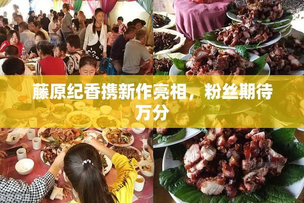 藤原纪香携新作亮相，粉丝期待万分