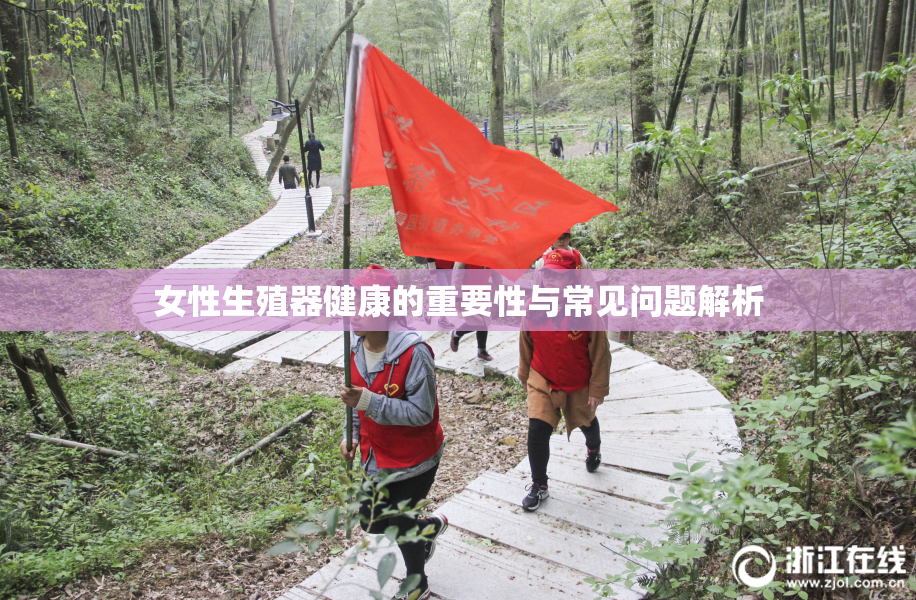 女性生殖器健康的重要性与常见问题解析