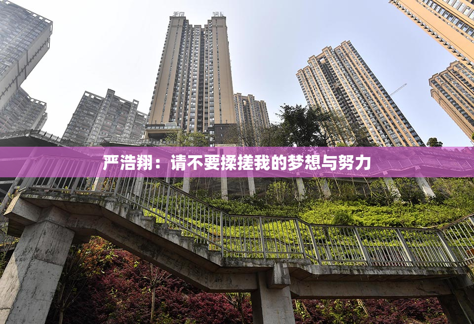 严浩翔：请不要揉搓我的梦想与努力