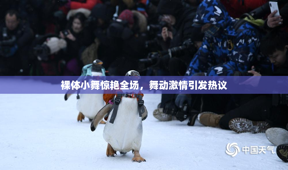 裸体小舞惊艳全场，舞动激情引发热议