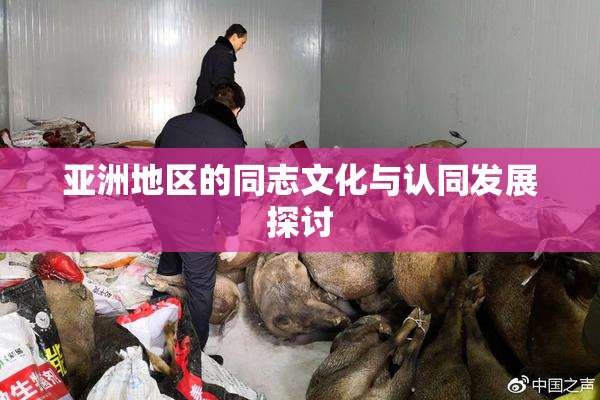 亚洲地区的同志文化与认同发展探讨