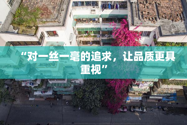 “对一丝一毫的追求，让品质更具重视”