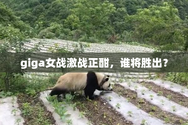 giga女战激战正酣，谁将胜出？