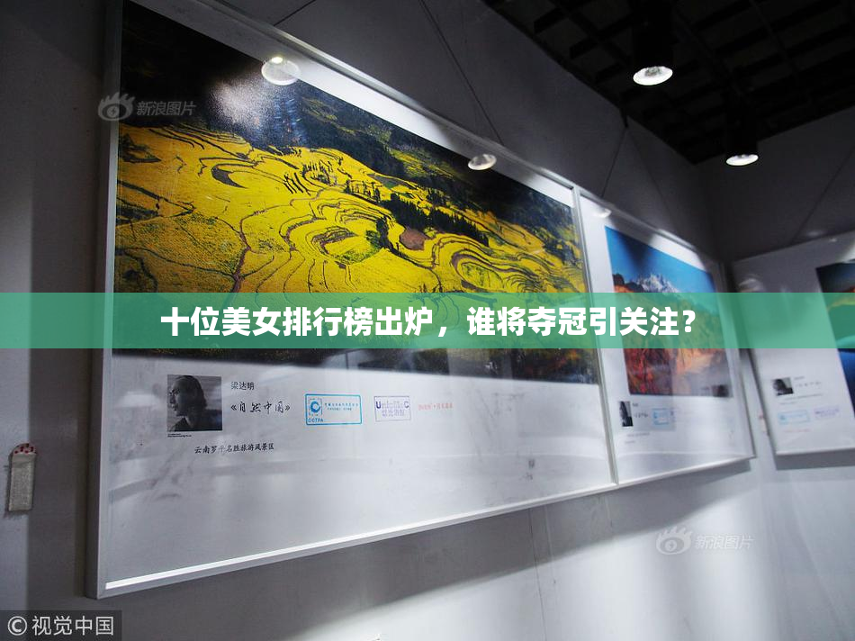 十位美女排行榜出炉，谁将夺冠引关注？