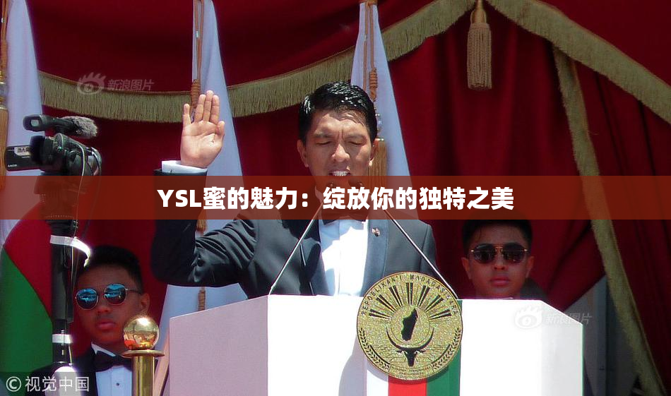YSL蜜的魅力：绽放你的独特之美