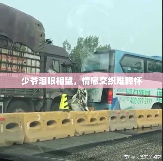 少爷泪眼相望，情感交织难释怀