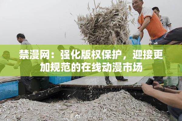 禁漫网：强化版权保护，迎接更加规范的在线动漫市场