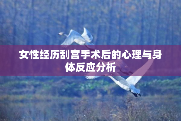 女性经历刮宫手术后的心理与身体反应分析
