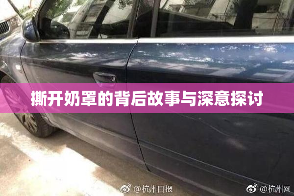 撕开奶罩的背后故事与深意探讨