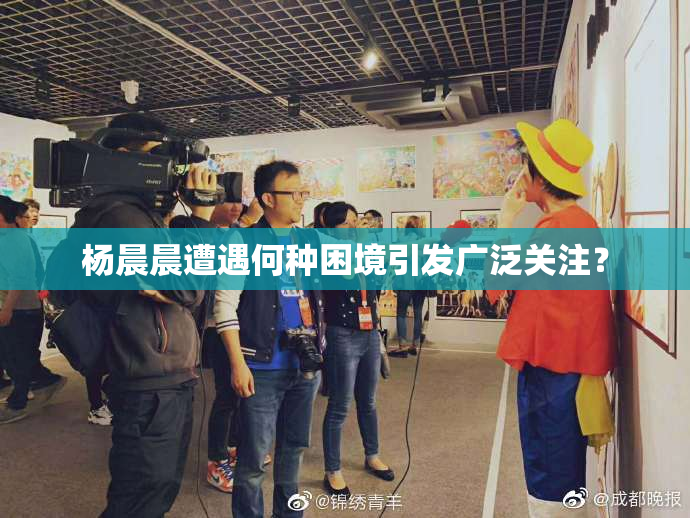 杨晨晨遭遇何种困境引发广泛关注？