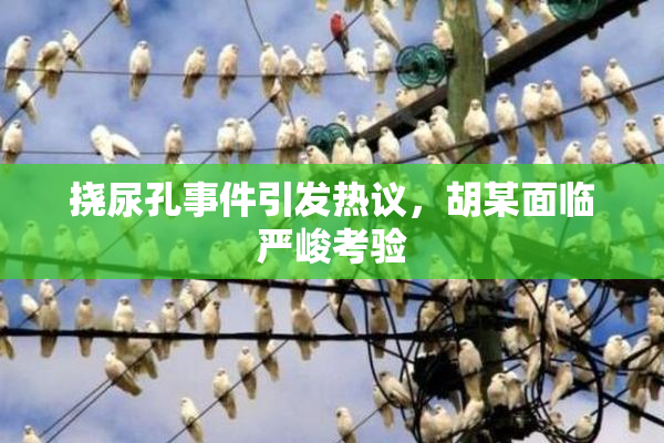 挠尿孔事件引发热议，胡某面临严峻考验
